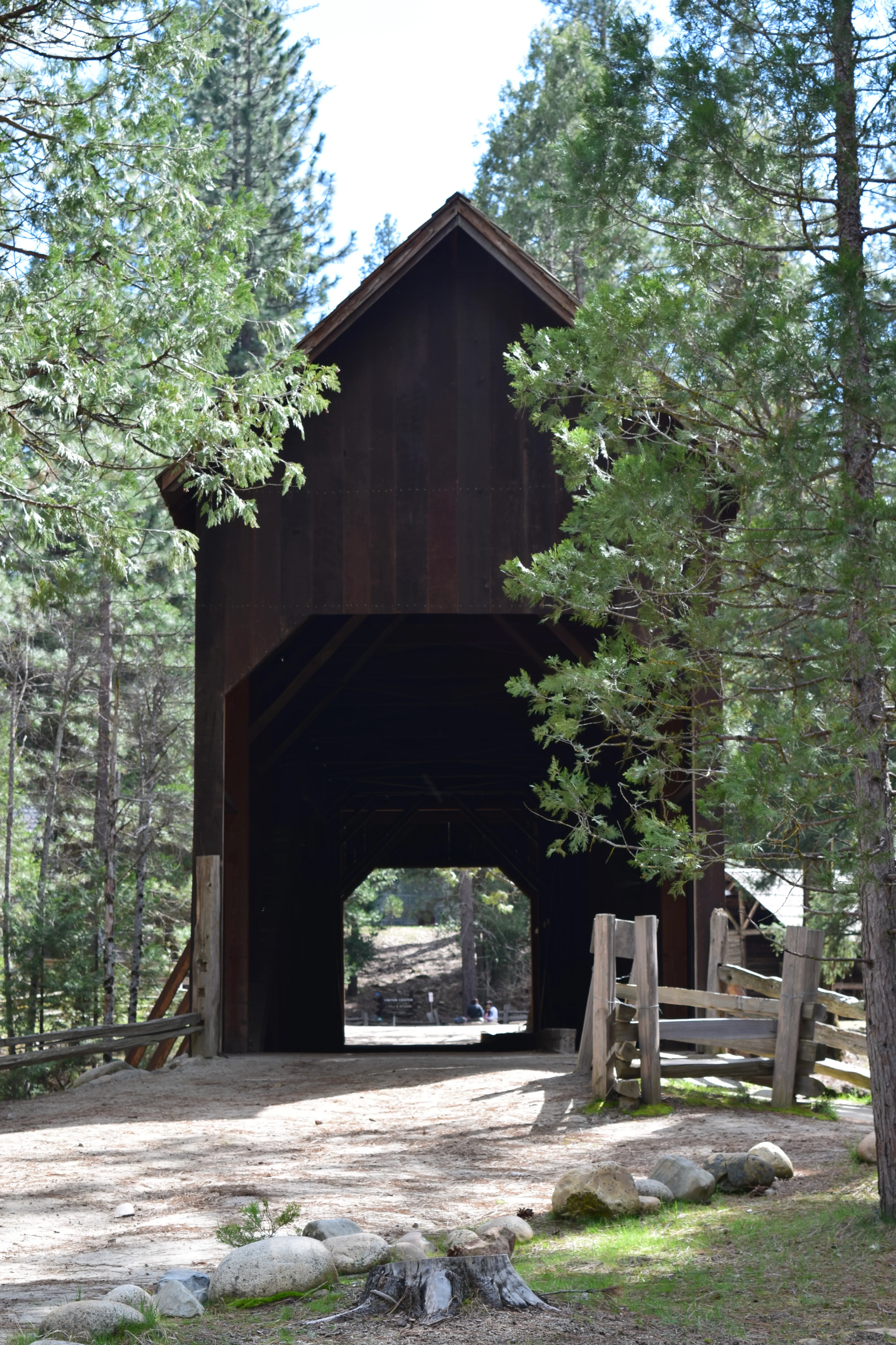 Camp at Wawona in Yosemite National Park