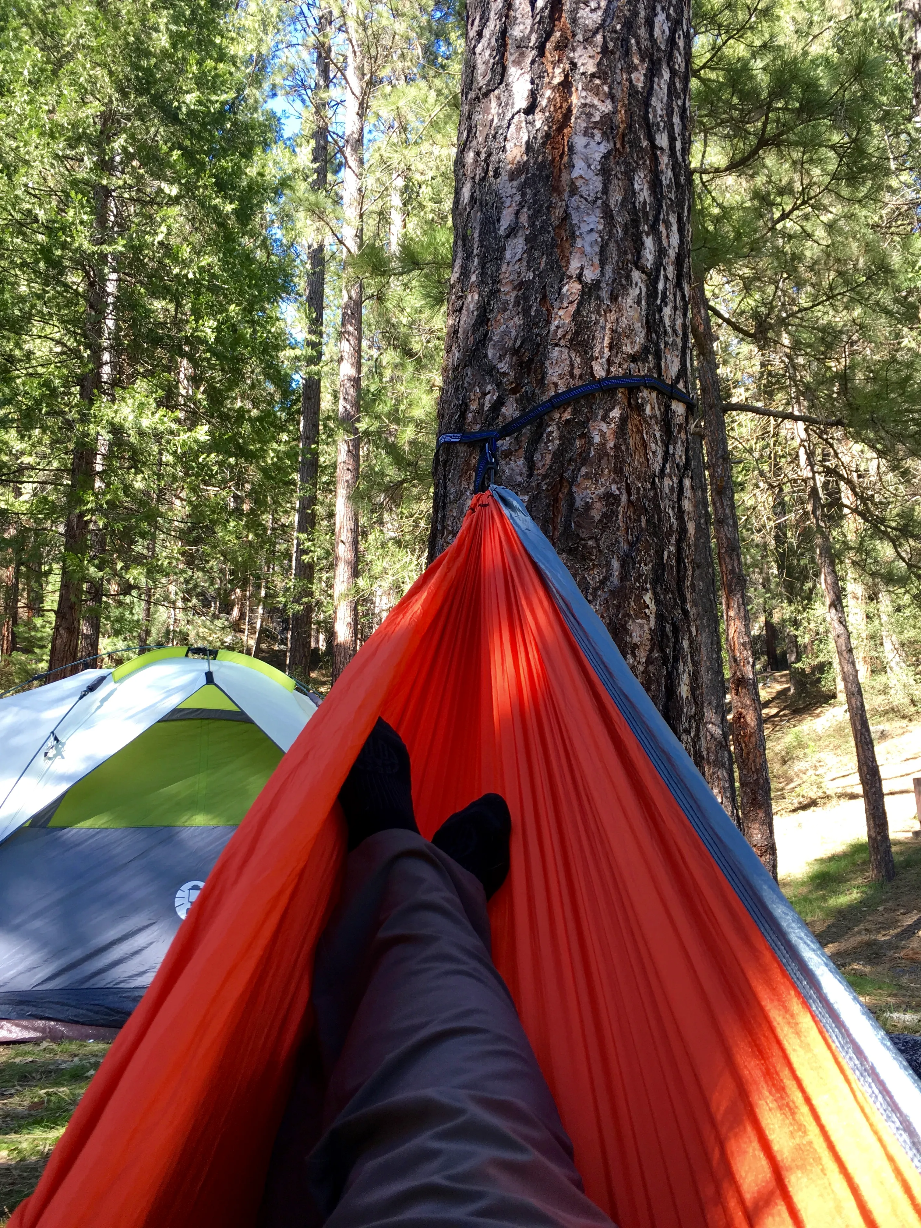 Camp at Wawona in Yosemite National Park