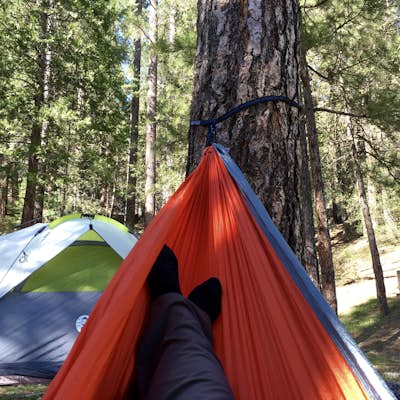 Camp at Wawona in Yosemite National Park