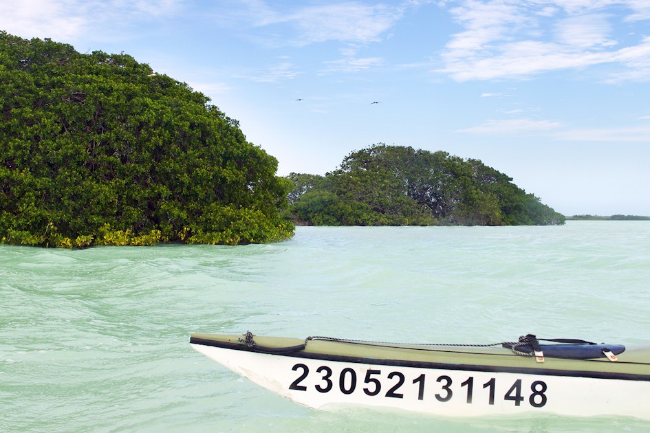 Kayak in the Sian Ka'an Biosphere Reserve, Tulum, Mexico