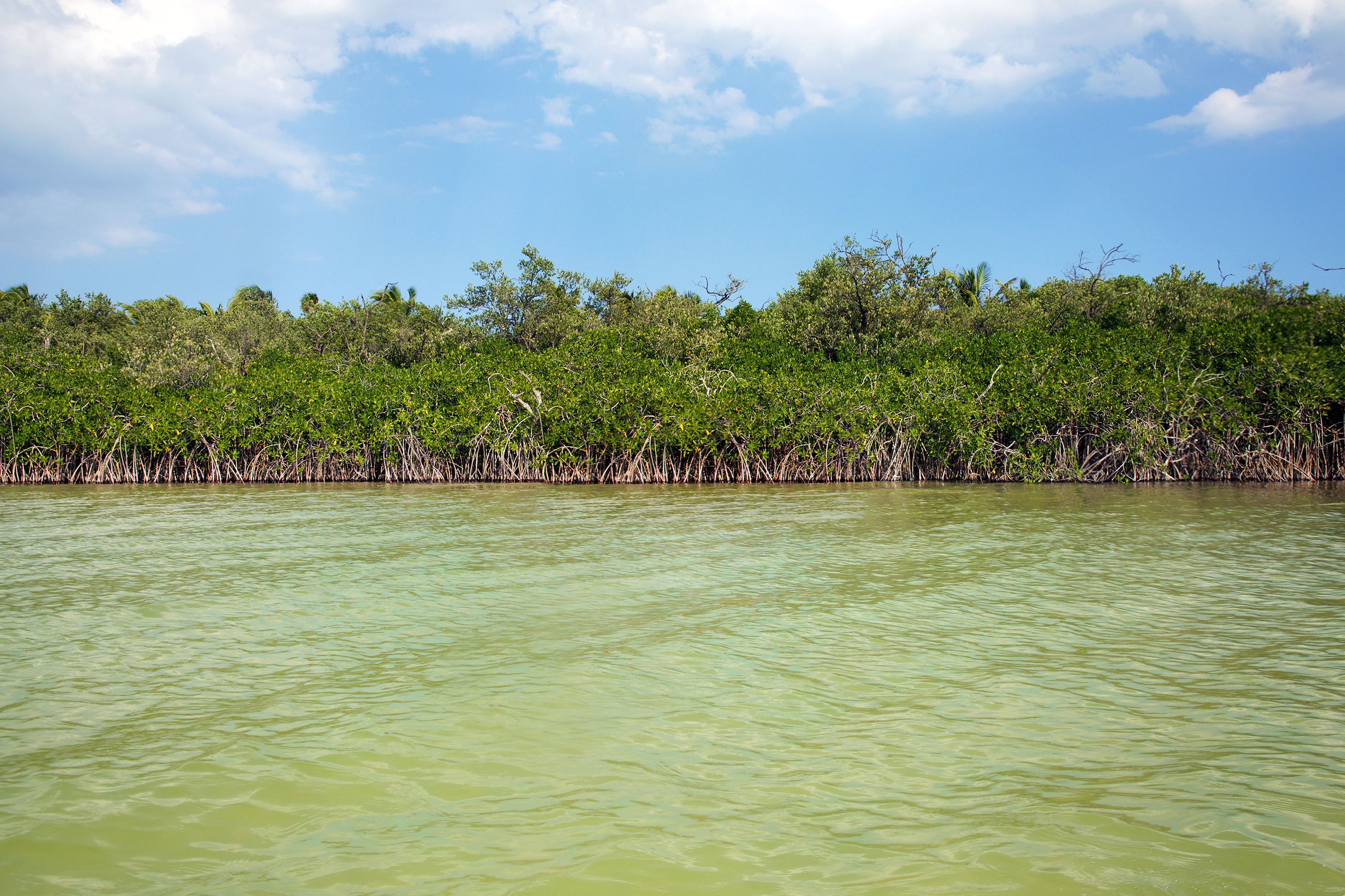 Kayak in the Sian Ka'an Biosphere Reserve