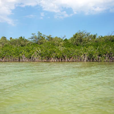 Kayak in the Sian Ka'an Biosphere Reserve
