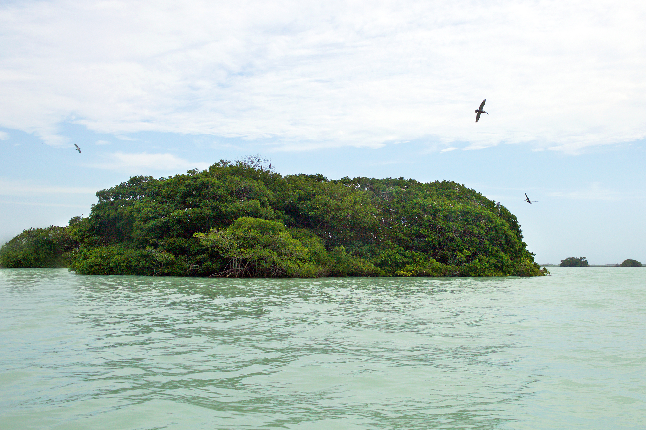 Kayak in the Sian Ka'an Biosphere Reserve