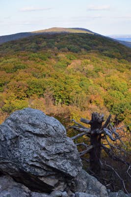 Hike the Hawk Mountain Lookout Trail