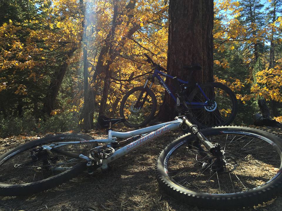 Knickerbocker Road & Pine Knot Trail