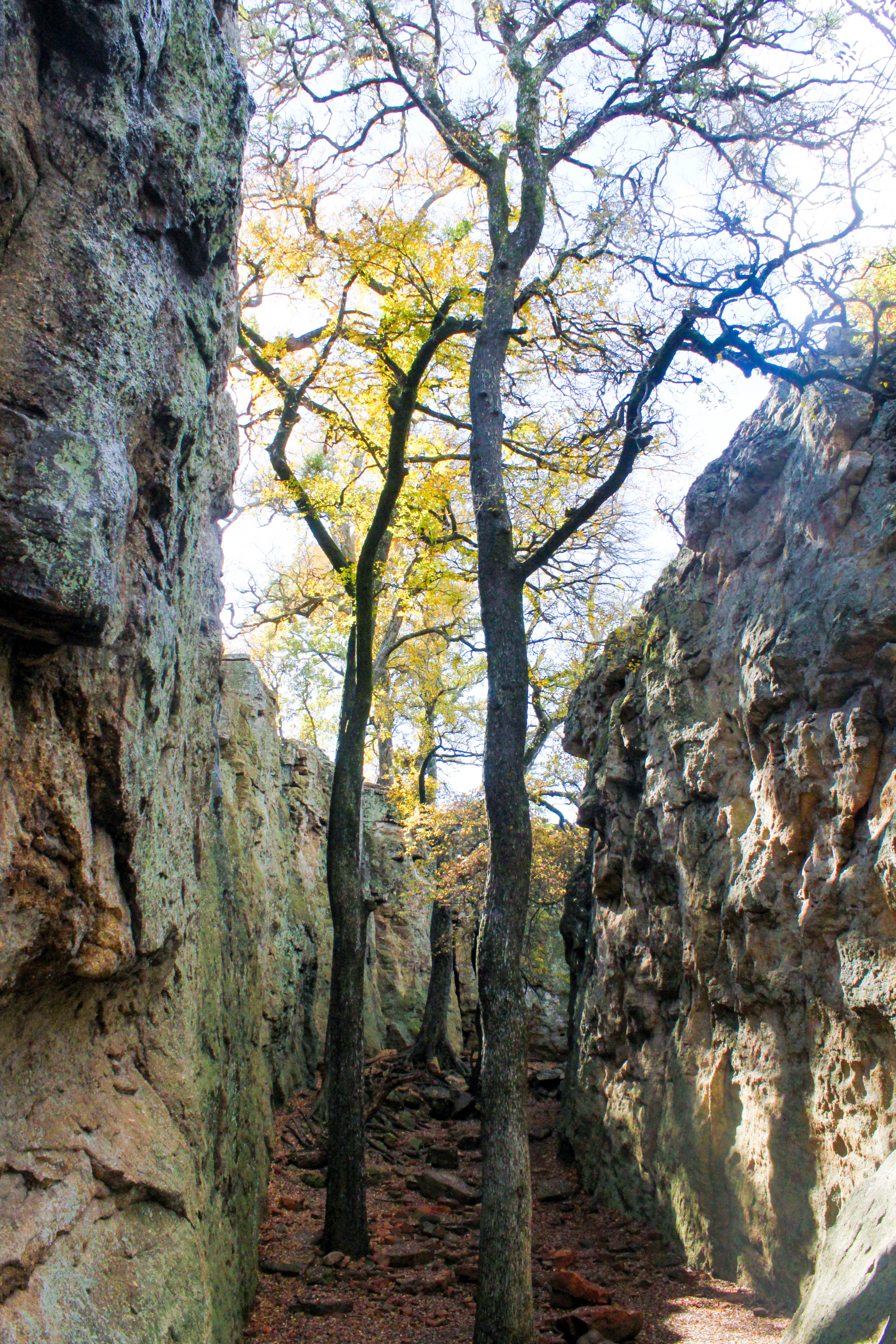 Penitentiary Hollow via Red Waterfront Trail