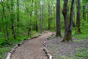 Top 8 Spring Hikes Within An Hour Of Atlanta, Georgia