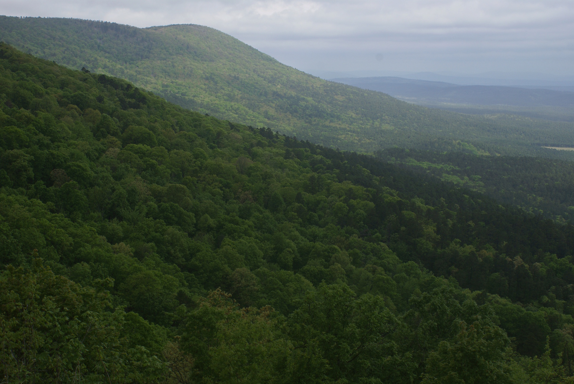 Backpack the Horsethief Springs Trail , Hodgen, Oklahoma