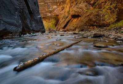 Photographing The Narrows At Zion National Park 