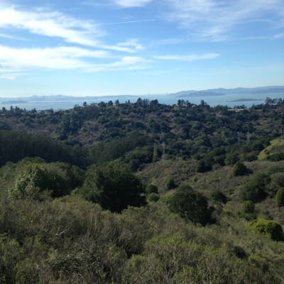 Hike the Wildcat Canyon Loop