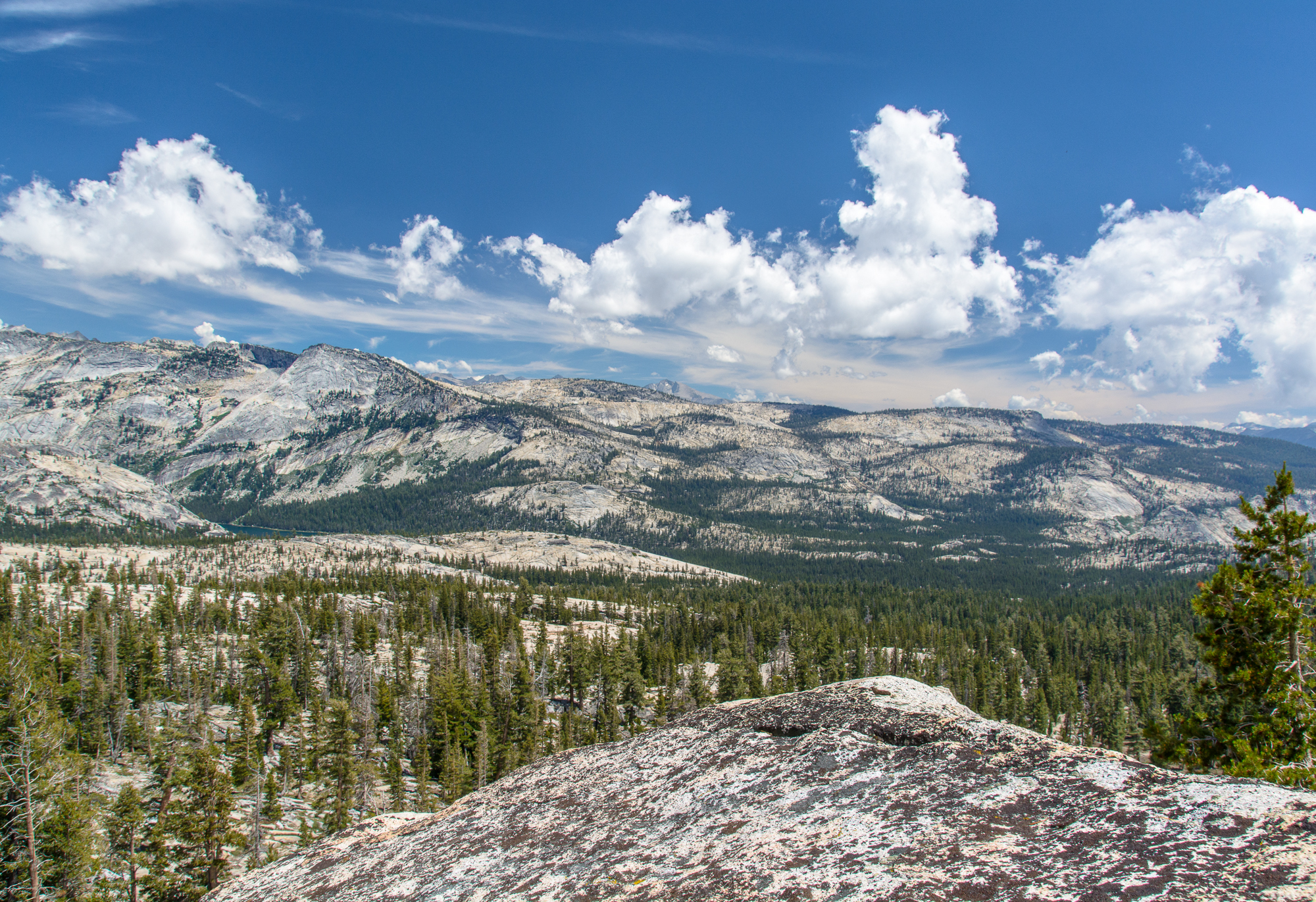 May Lake Trail