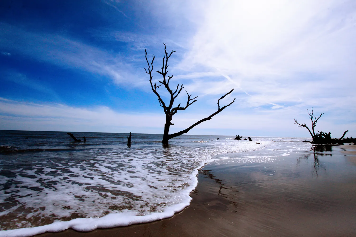 Explore Bulls Island
