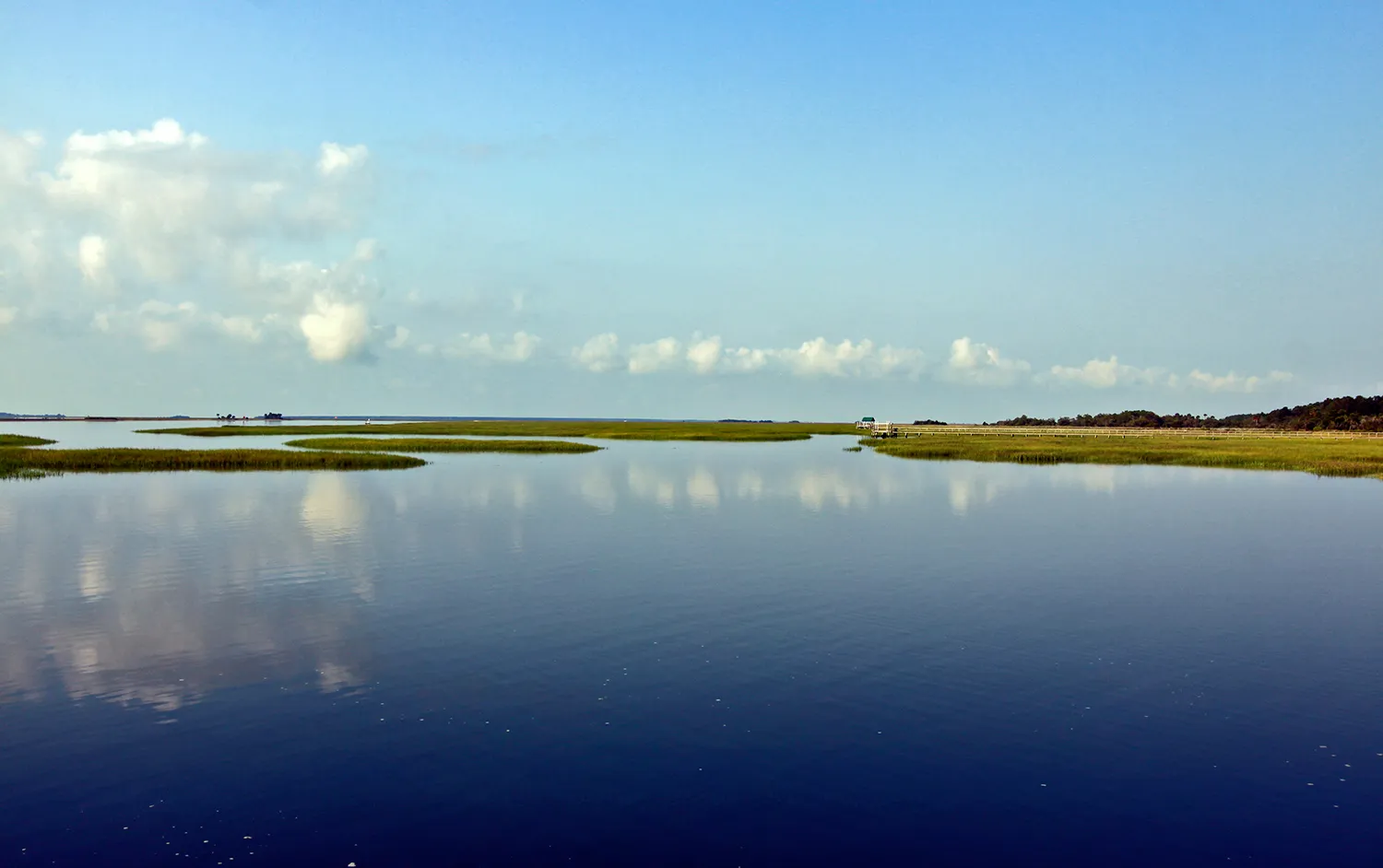 Explore Bulls Island