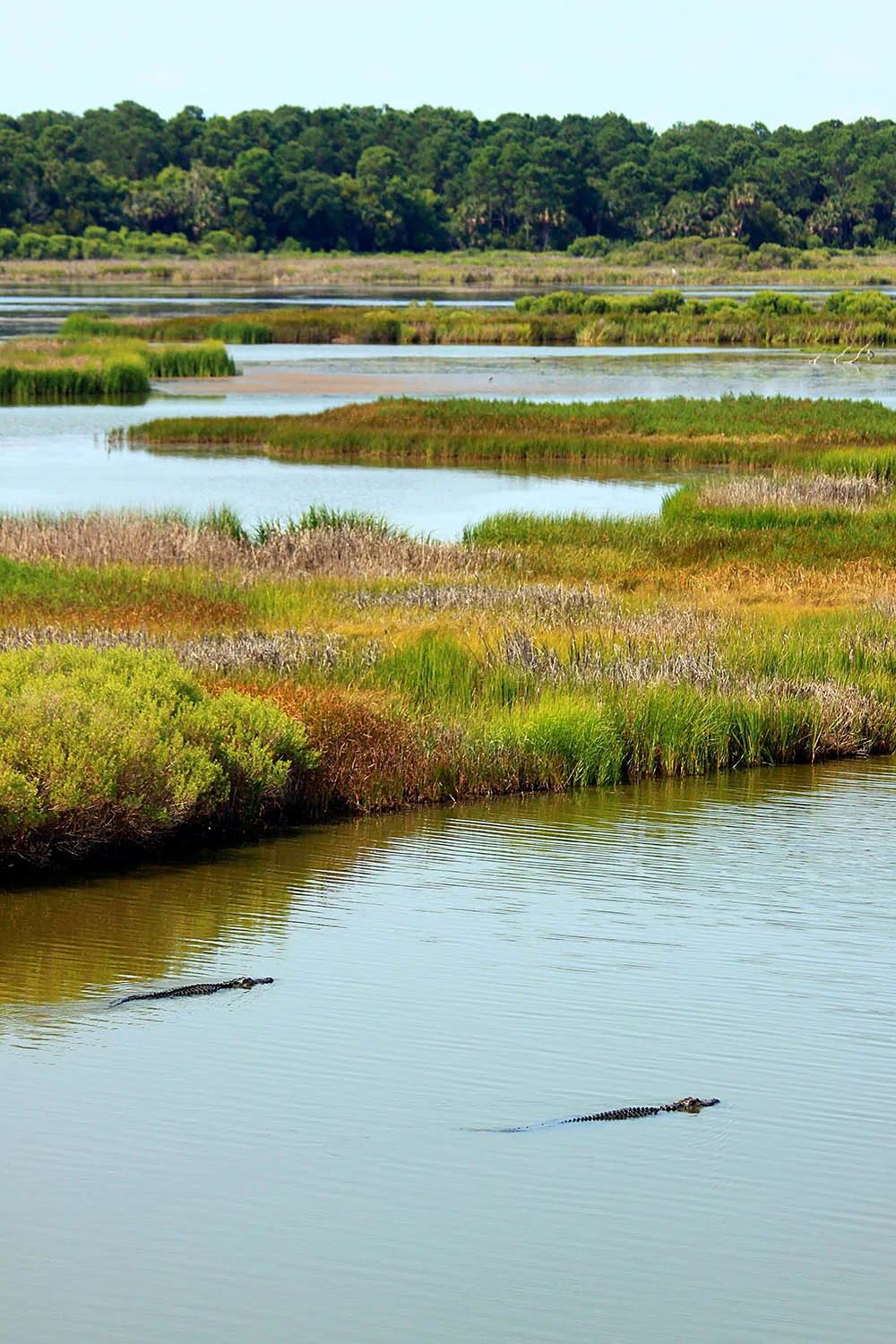 Explore Bulls Island