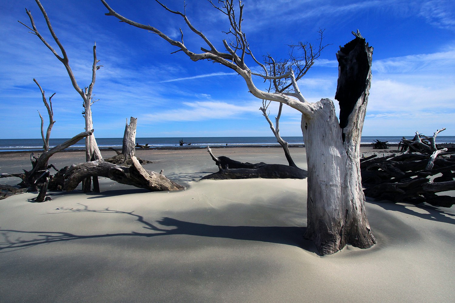 Explore Bulls Island, Awendaw, South Carolina