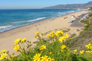 Paradise Cove via Point Dume