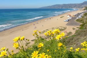 Paradise Cove via Point Dume