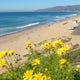Beach Hike to Paradise Cove From Point Dume