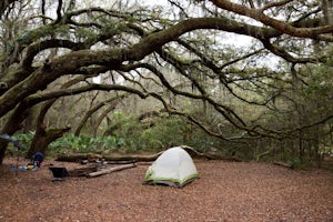 Camp at Stafford Beach on Cumberland Island