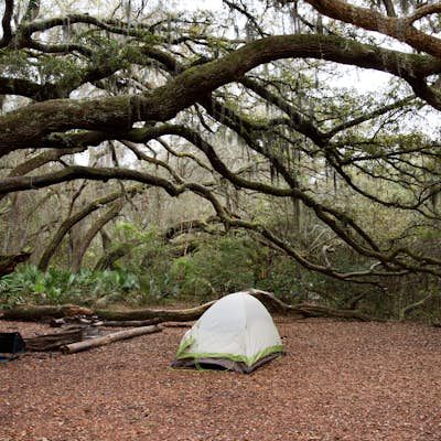 Camp at Stafford Beach on Cumberland Island