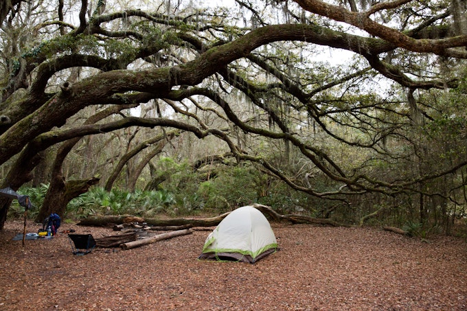 Green tent under a canopy of long tree branches with green leaves on Cumberland Island.