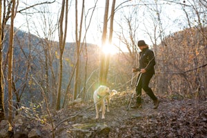 Hike the Hogskin Upper and Lower Loop