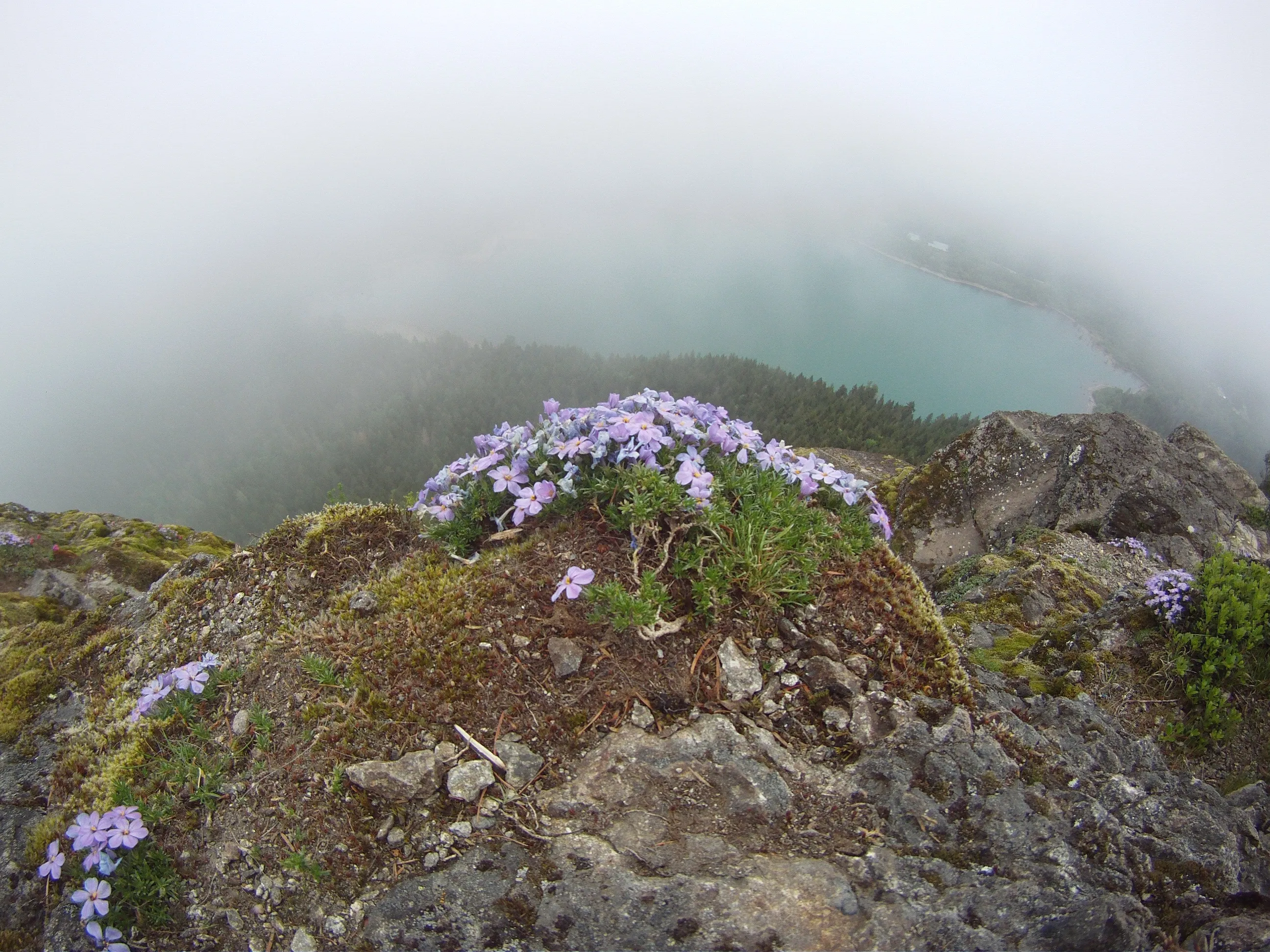 Rattlesnake Ledge