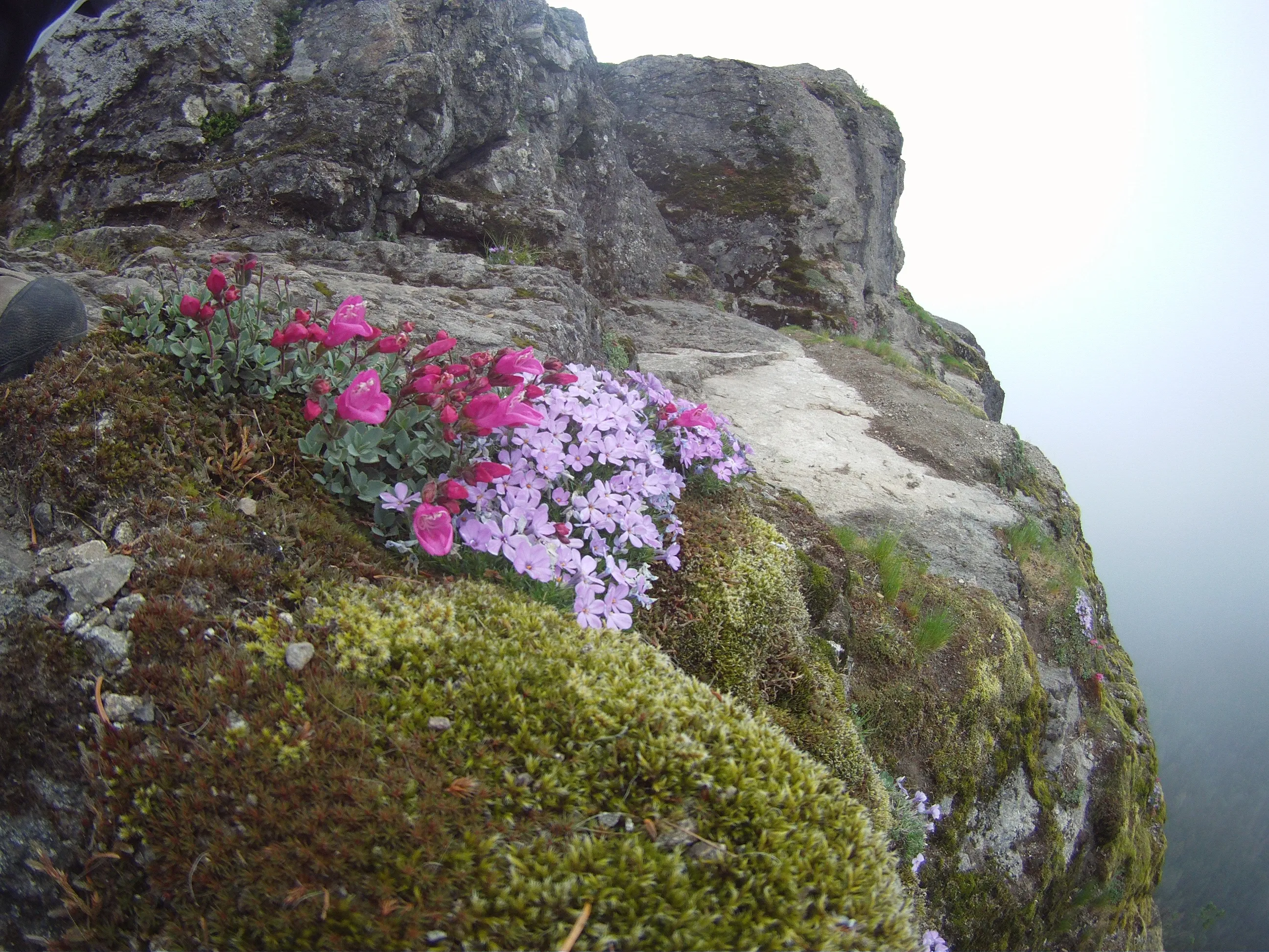 Rattlesnake Ledge