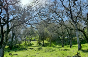 Lake Marie Road, Marie Creek, Buckeye Trail Loop