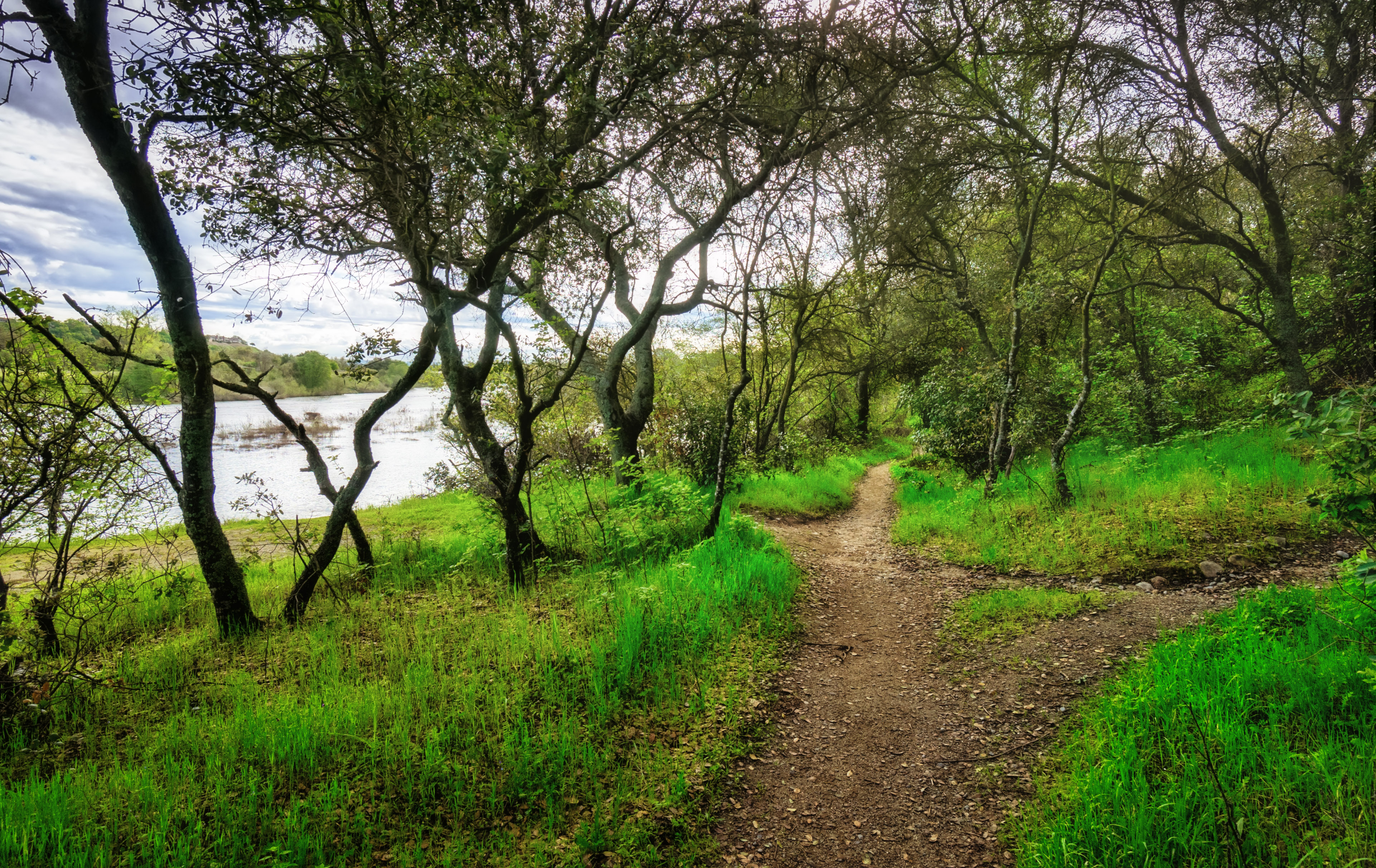 Hike the American River Parkway: Fair Oaks Bridge to Hazel Ave.   