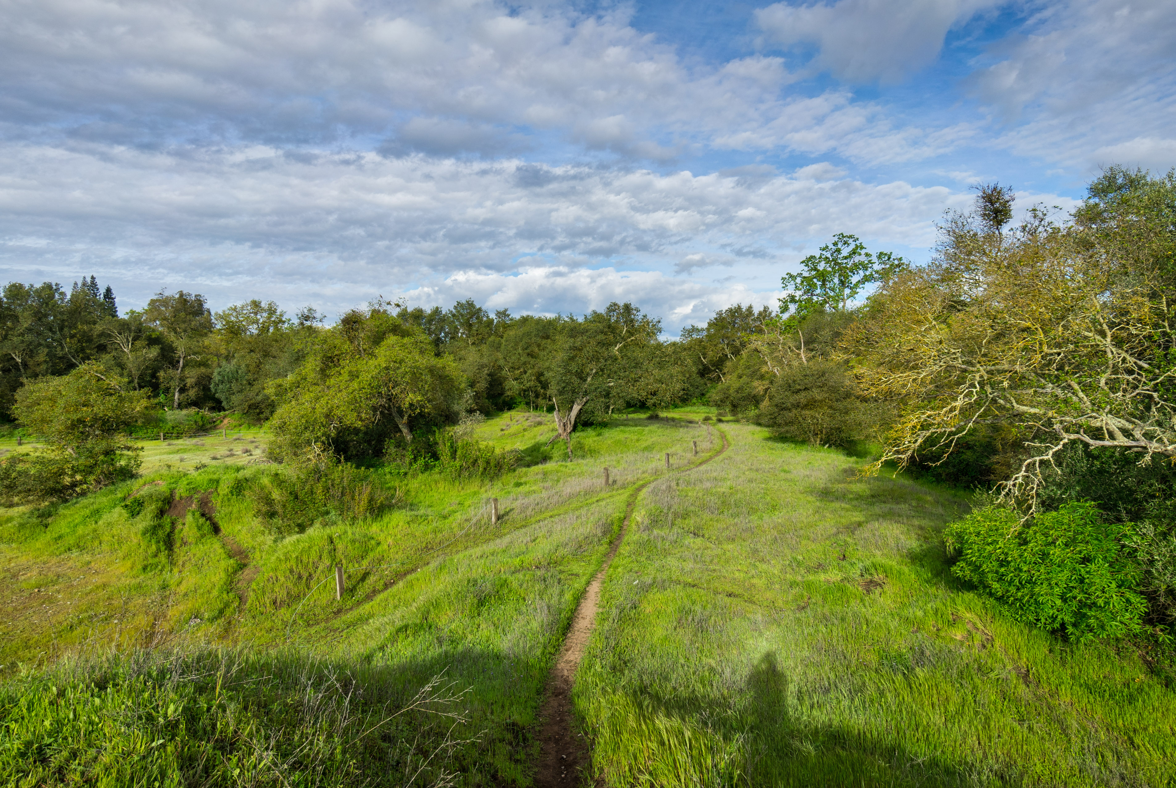 Hike the American River Parkway: Fair Oaks Bridge to Hazel Ave.   