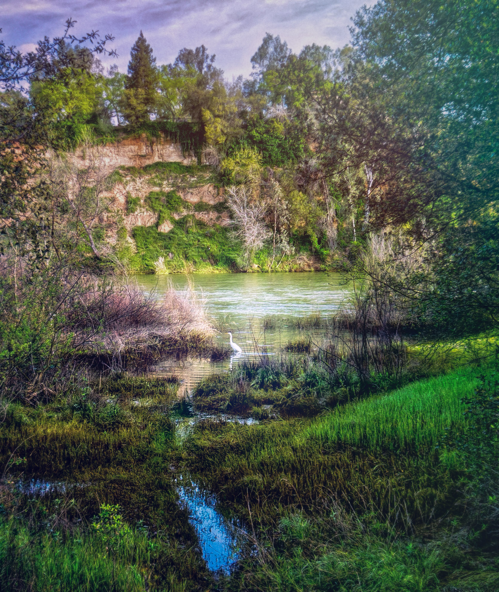 Hike the American River Parkway: Fair Oaks Bridge to Hazel Ave.   