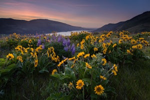 Bike from Hood River to The Dalles