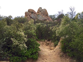 Hike the Saddle Rock Loop