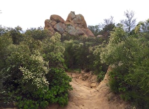 Hike the Saddle Rock Loop