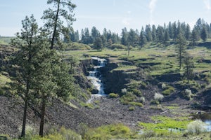 Hog Lake Loop