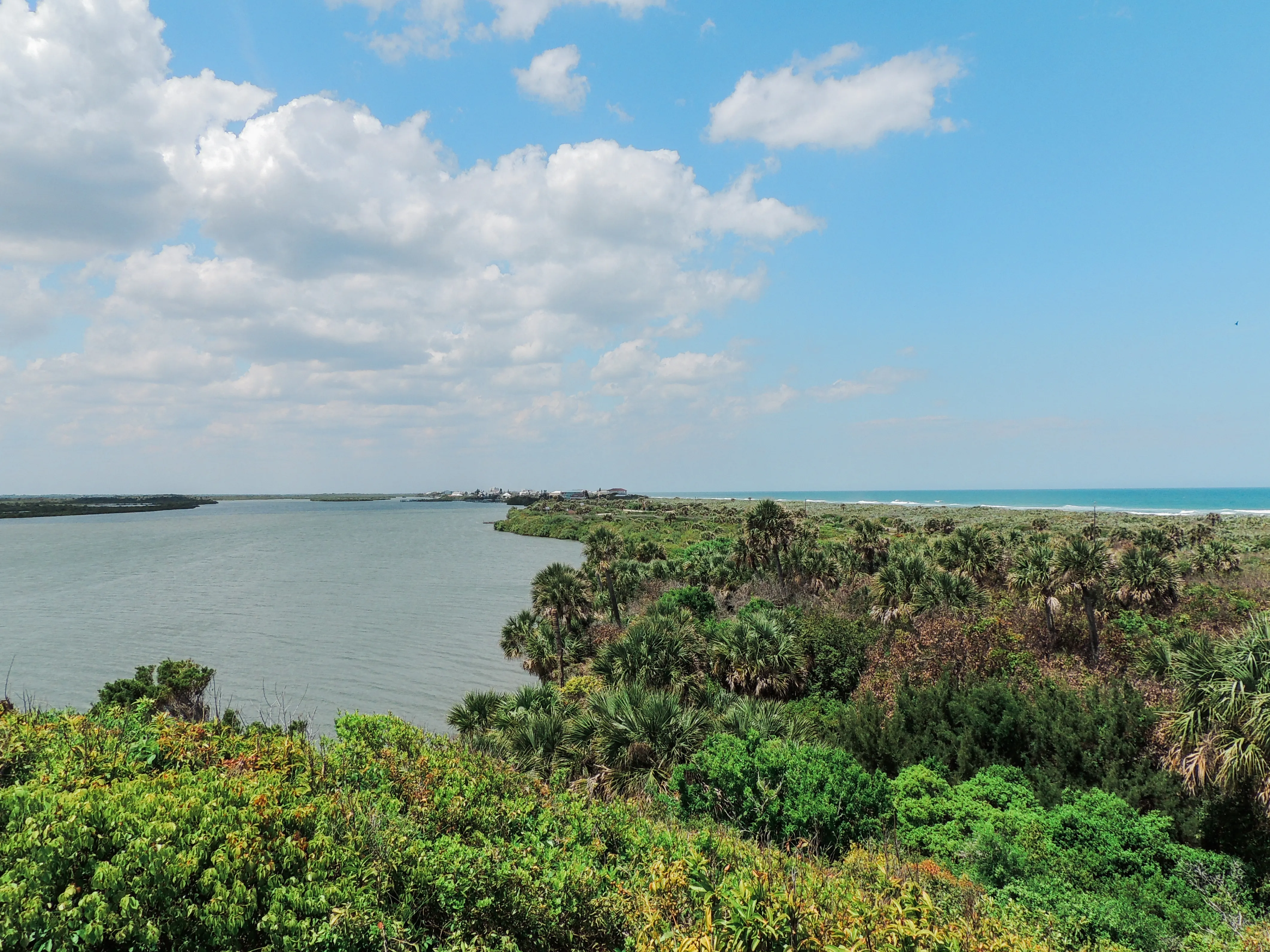 Hike the Turtle Mound Trail