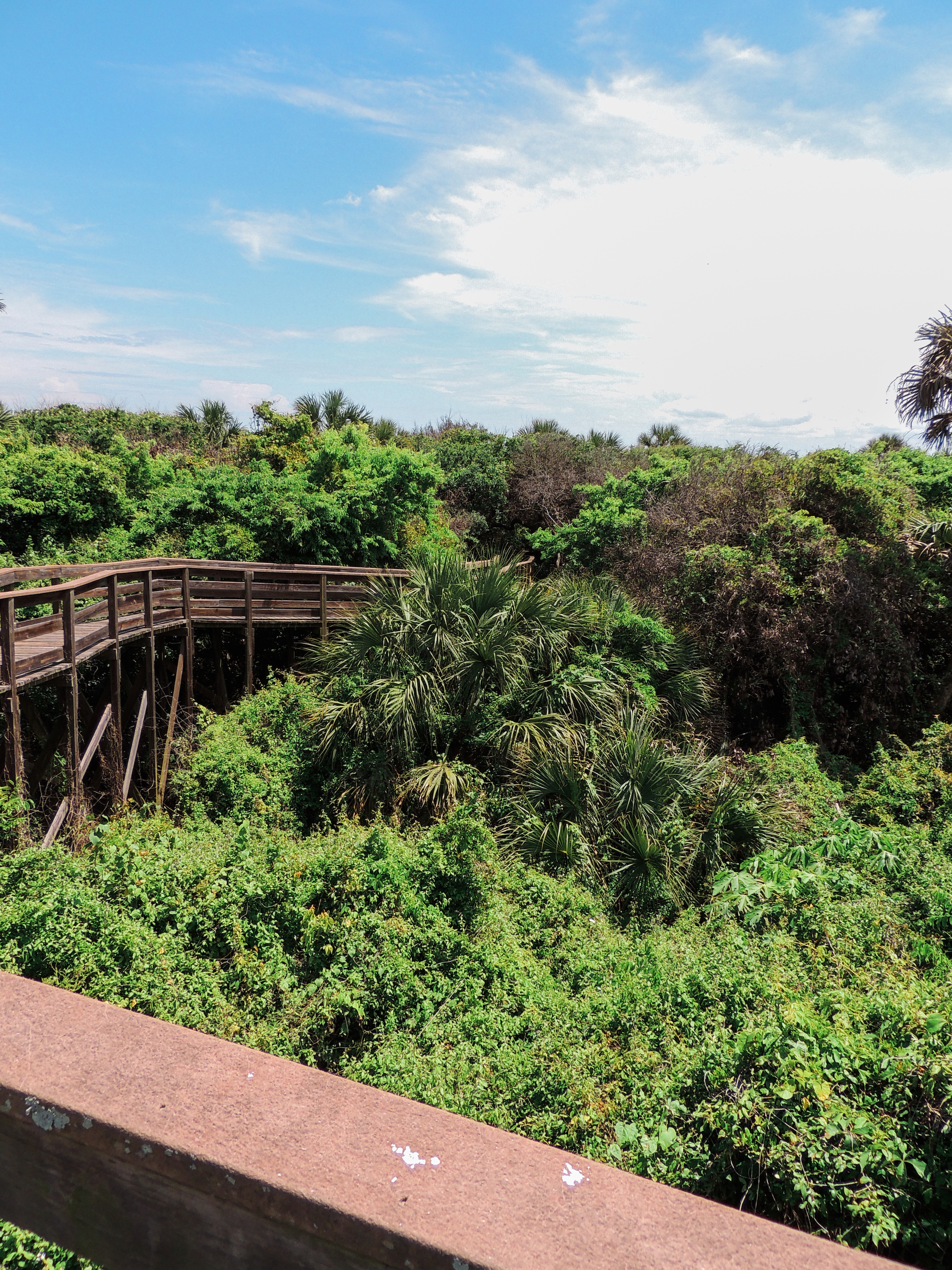 The Best Trails And Outdoor Activities In And Near New Smyrna Beach Florida