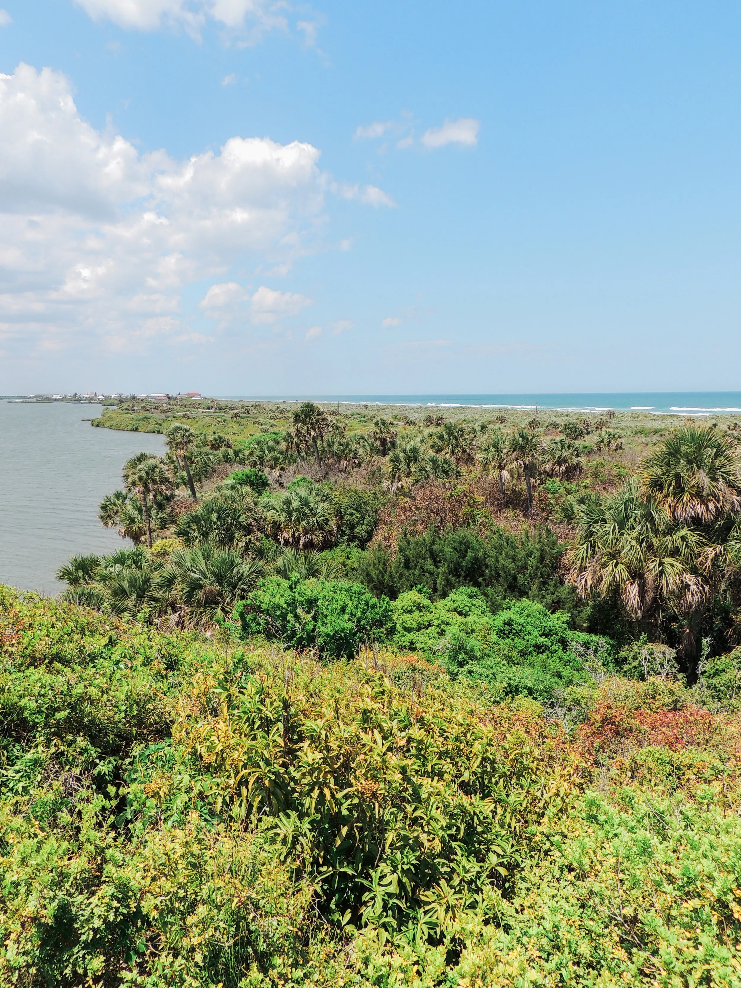 Hike the Turtle Mound Trail