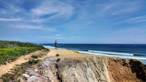 Climb the Bluffs of Shadmoor State Park