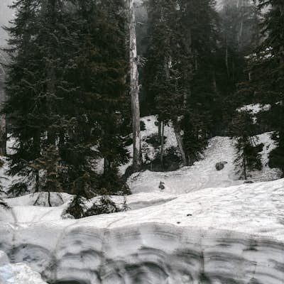 Foggy Dog Mountain Trail (Winter Trail) 