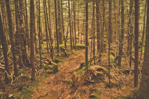 Backpack Devil's Path in the Catskills