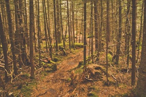 Devil's Path in the Catskills