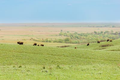 Photograph the Tallgrass Prairie Preserve