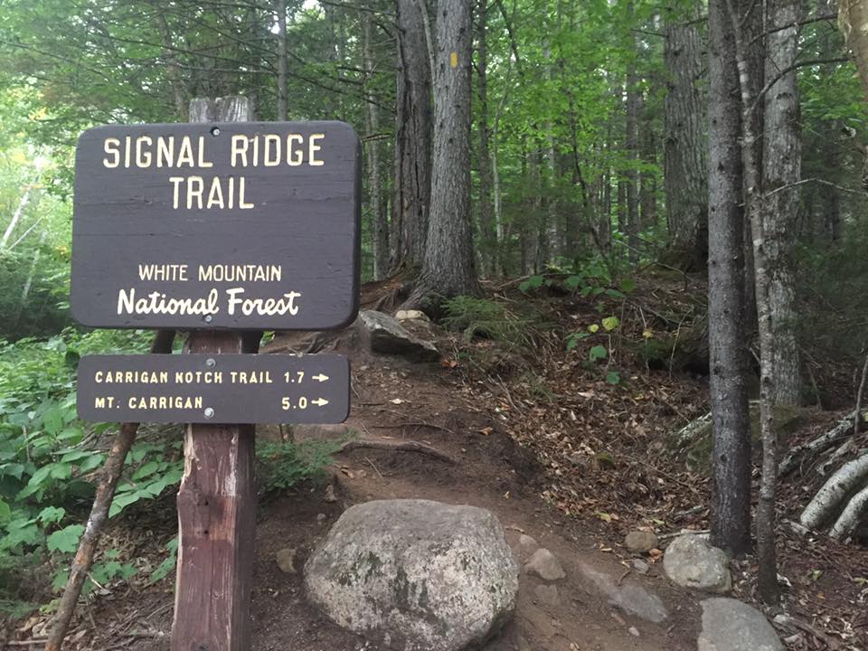Mt. Carrigain via Signal Ridge