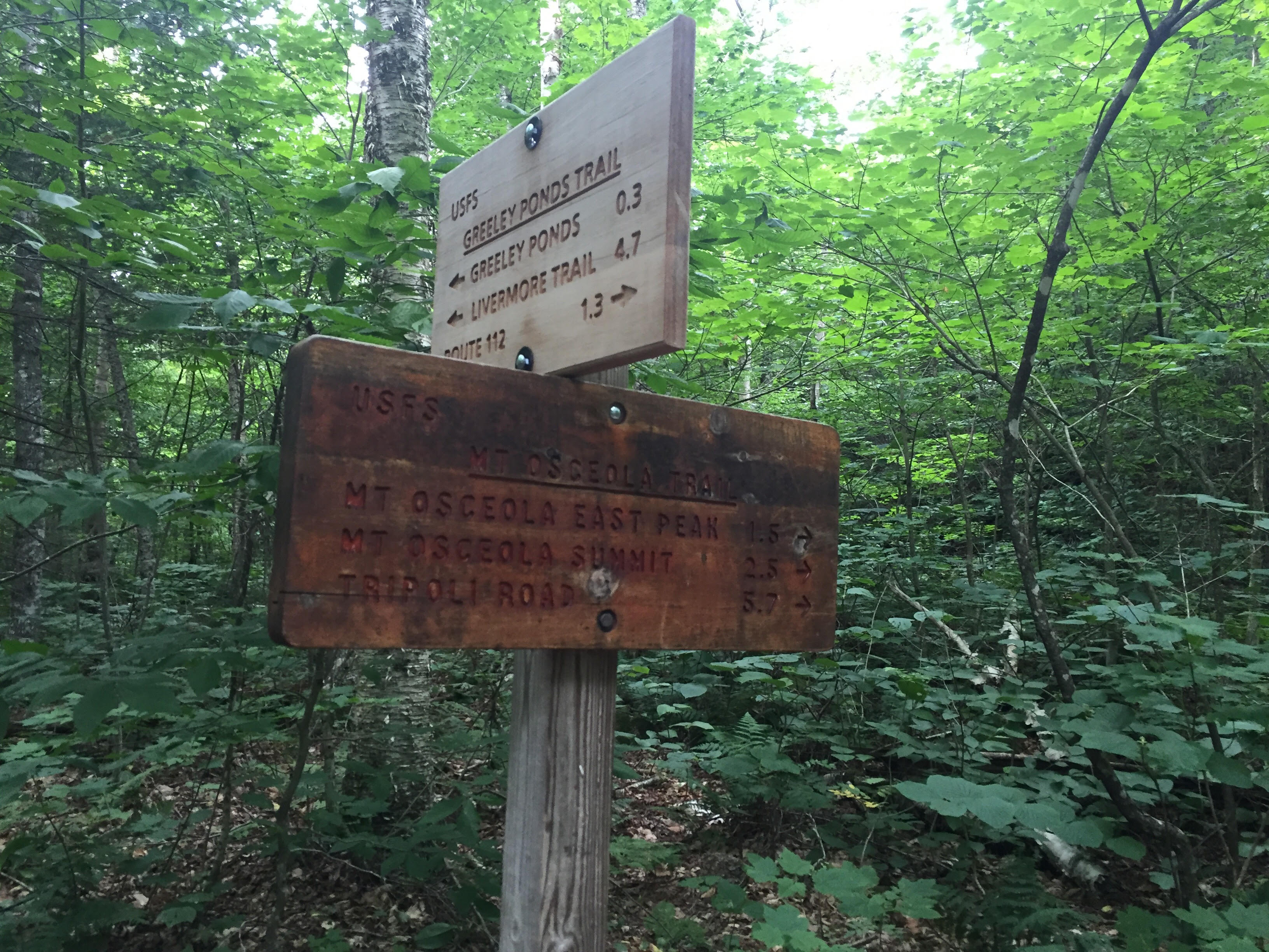 Osceola Mountain via Greeley Pond