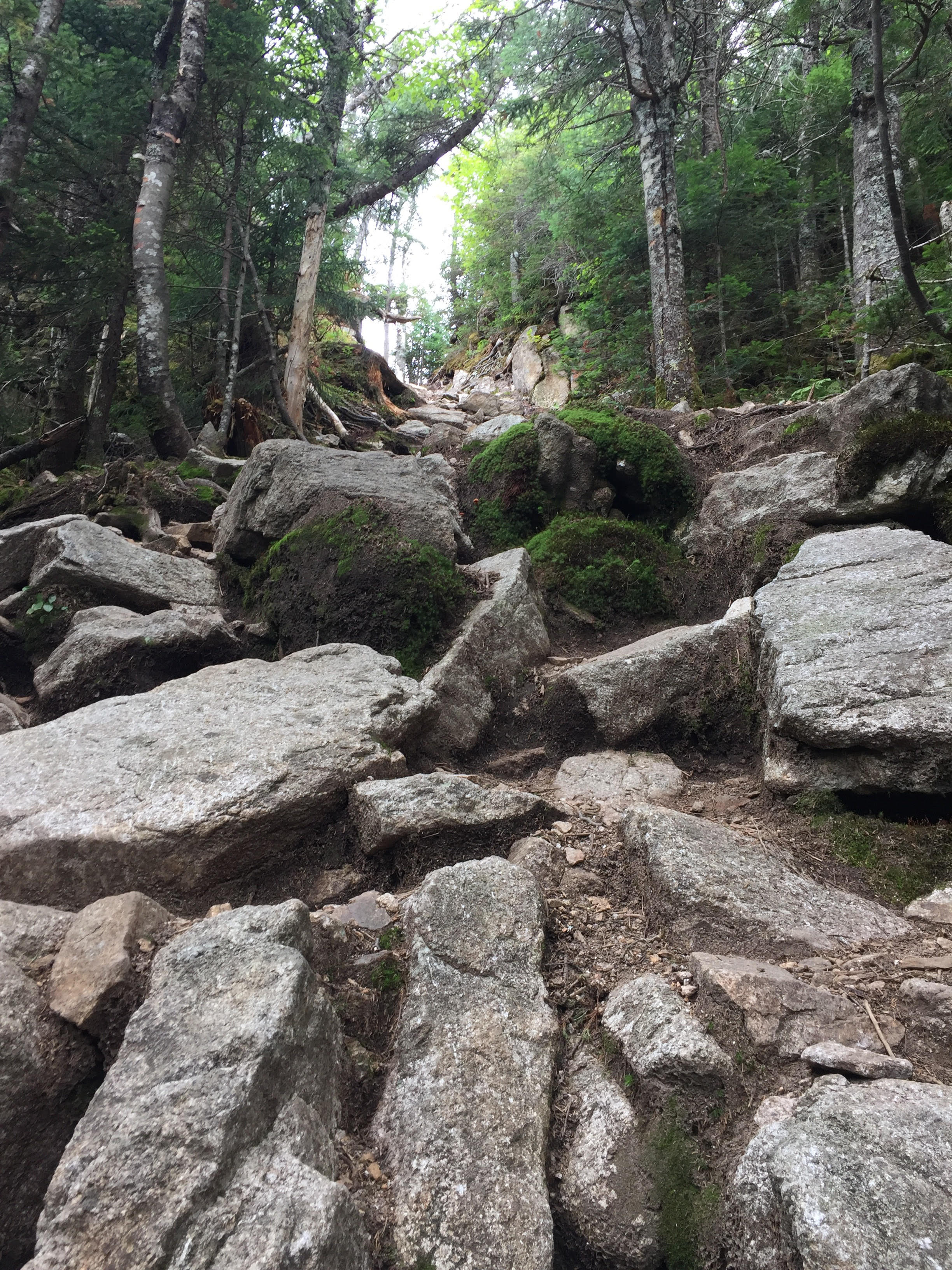 Osceola Mountain via Greeley Pond