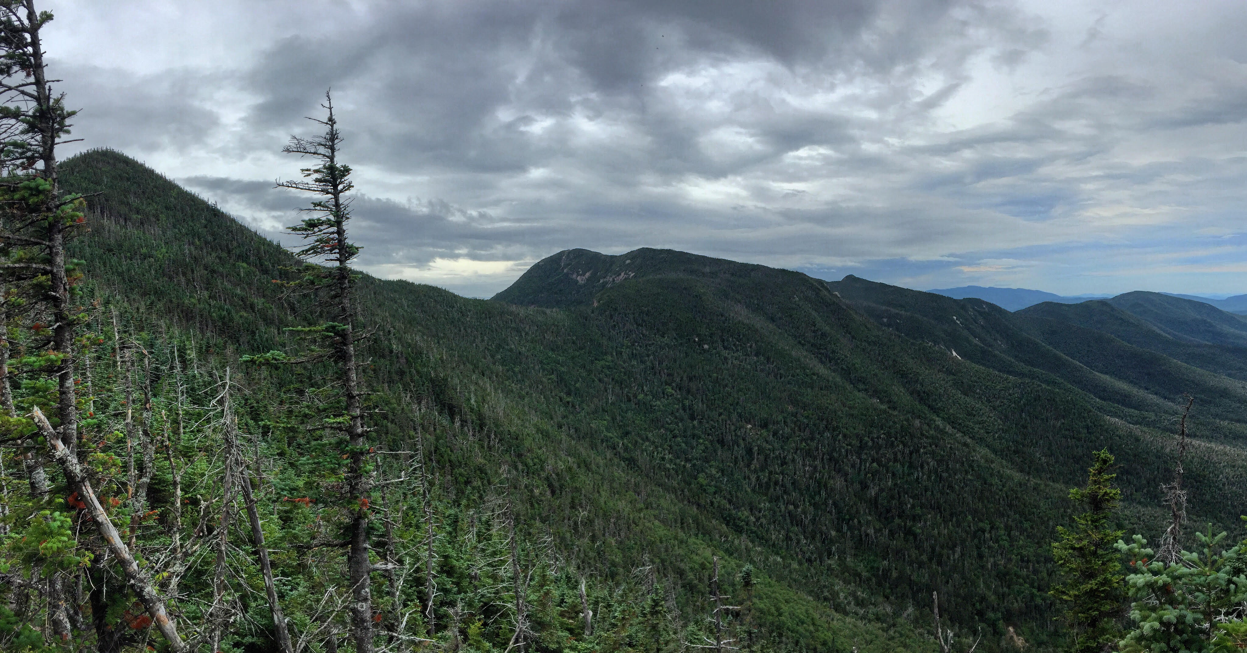 Osceola Mountain via Greeley Pond