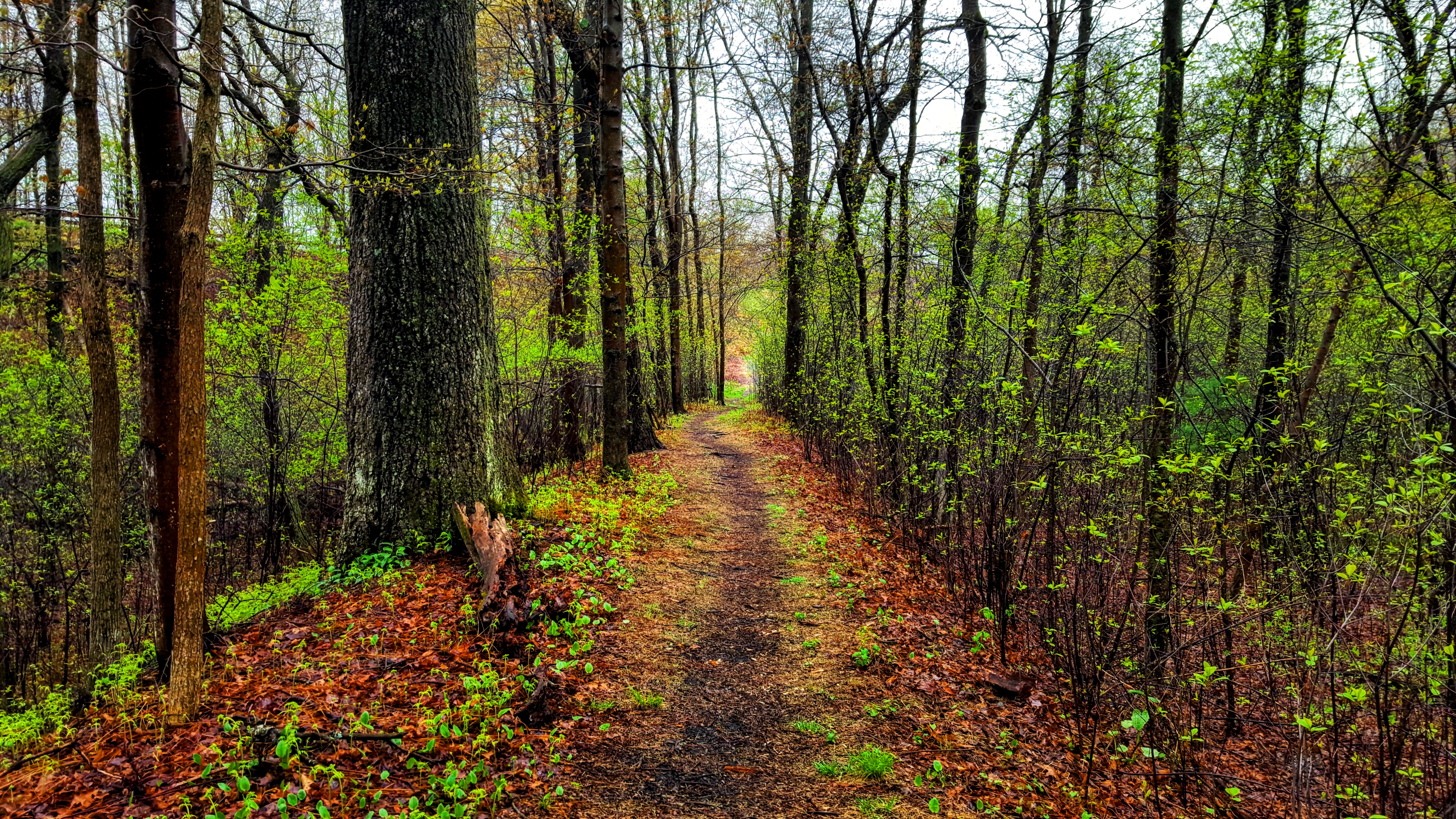 Bike the Lehigh Gorge Trail: Lock #2