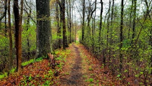 Bike the Lehigh Gorge Trail: Lock #2